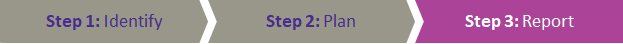 Step 3: Report