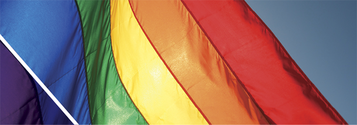 Rainbow flag