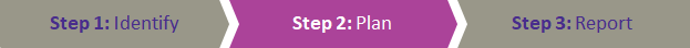 Step 2: Plan